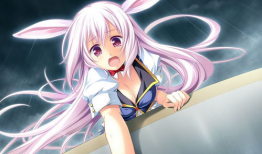 动漫美女比基尼图片,夏日风情无限绽放