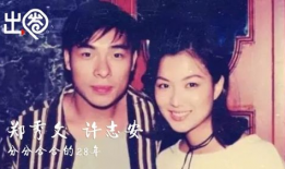 小贾娱乐圈吃瓜视频,揭秘明星幕后故事